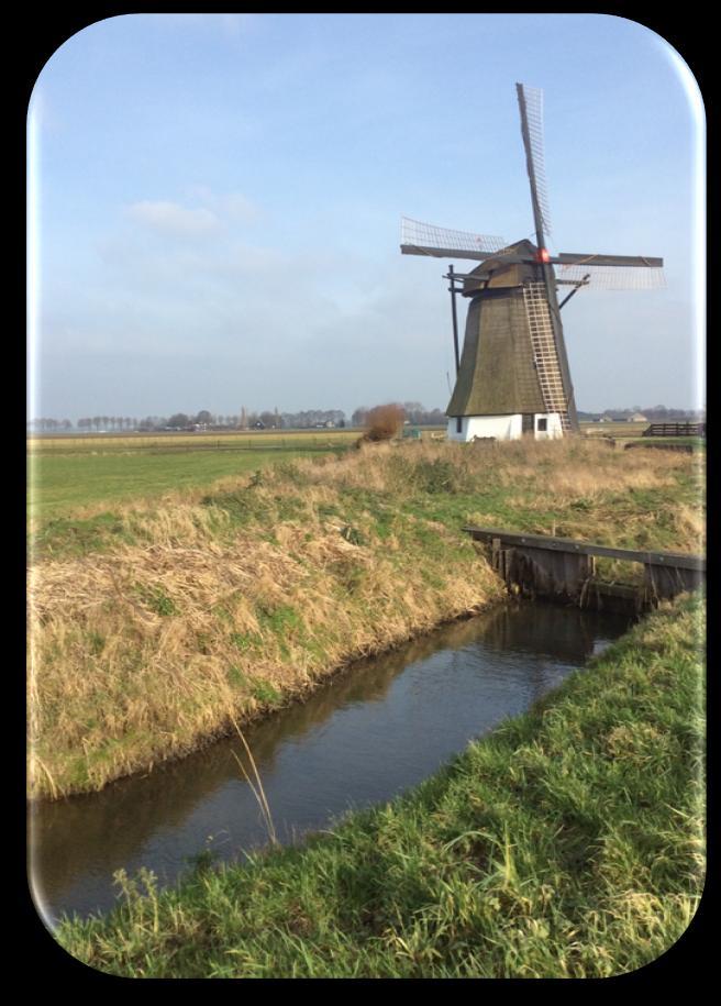 4 Maatregelen Er zijn twee soorten maatregelen die we gaan uitvoeren. Herinrichting van de molenerven en Bewoners van het gebied bij de leefomgeving van de patrijs betrekken.