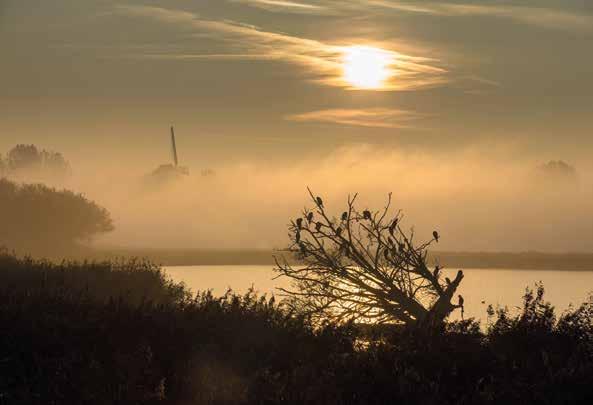 Opdoemende mist op de IJssel bij
