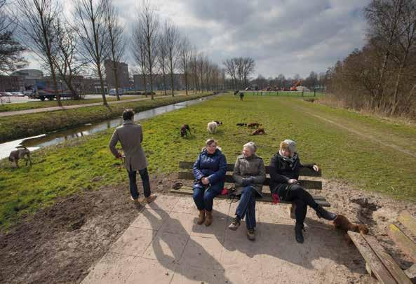 Het hondendolterrein in het park is verplaatst. Prima, maar de bankjes zijn ineens omgedraaid.