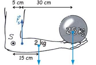 massa armrehts 1 0 = 2 10 + m 50 10 m 50 = 0 20 = 10 m = = 0,2 = 0,20 kg 50 0,20 kg 9 a Σ ( massa arm ) = Σ ( massa arm ) M linksom = M links rehtsom rehts 85,75 1,7 kn s 0,05 = (25 9,8) 0,5 s = =