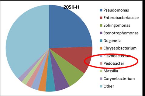 Indicators for suppressiveness of potato against Dickeya and Pectobacterium sp.