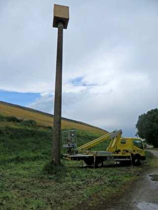 Foto 5 en 6 : Bijzondere nestplaats bij Dinslaken (Frank van Ties ).