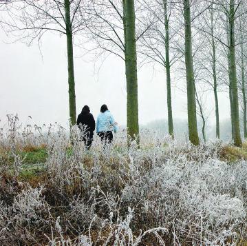 > Streefbeeld < den. De criteria worden in belangrijke mate bepaald door bereikbaarheid en aantrekkelijkheid en de mogelijkheden om deze te vergroten.