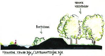 > Streefbeeld > migratie vleermuizen boomkikkers Faunadijk / Landschappelijke dijk Faunadijken worden getypeerd door structuurvariatie in de begroeiing, afhankelijk van de doelsoort.