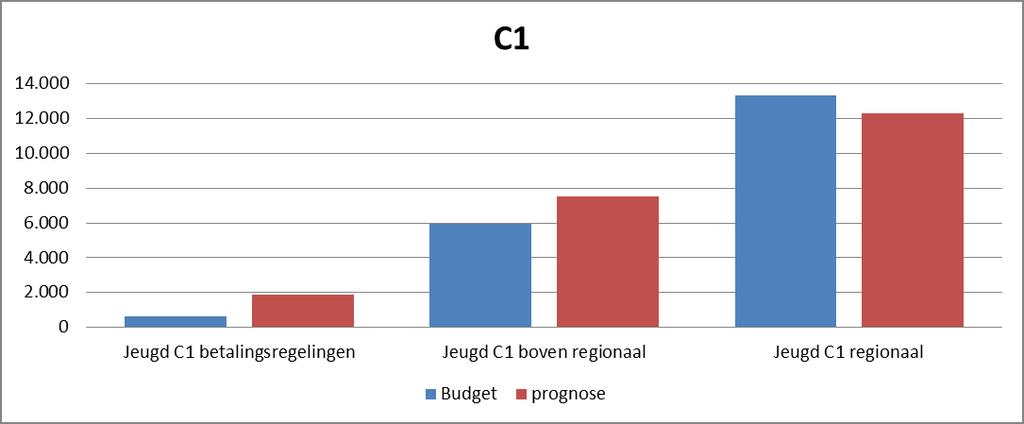 2.3 ZORGINZET IN RELATIE TOT HET BUDGET : BLOK C1 ZORG MET VERBLIJF We presenteren in onderstaande tabel 10 de realisatie van de jeugdhulp, die geleverd is door de partijen met een subsidiecontract