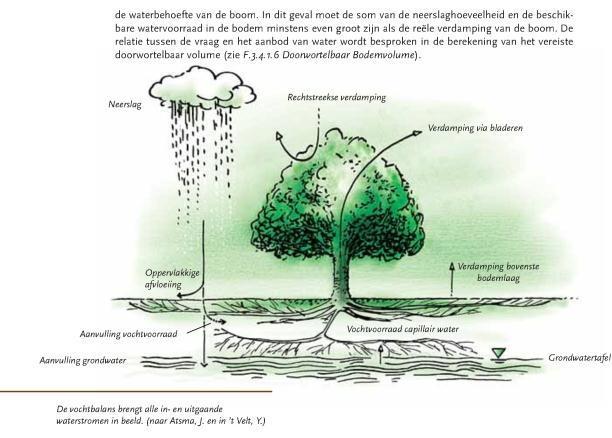 toekomstige