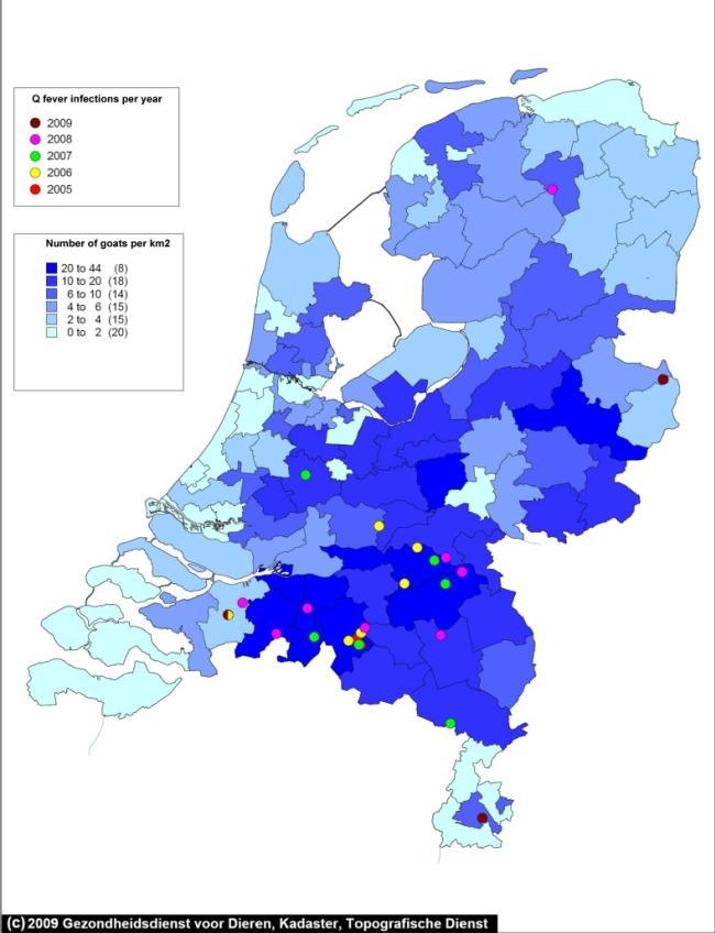 Seroprevalentie geit: 7,8% seropositief