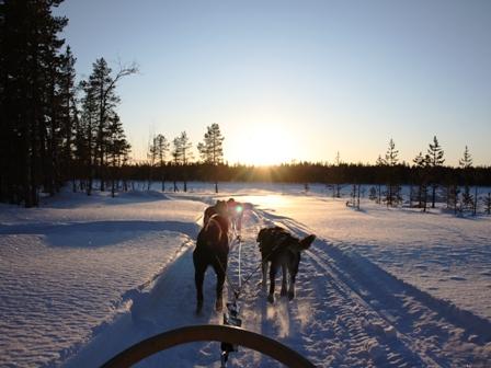 Ook een bezoek aan het wereldberoemde ijshotel van Jukkasjärvi mag uiteraard niet ontbreken! BESCHRIJVING: Dag 1: Kiruna Transfer van de luchthaven naar de lodge en inchecken.