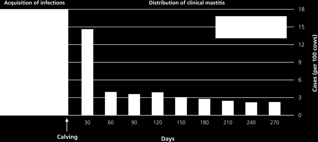 Voorkomen van klinische mastitis begin lactatie en oorsprong van infectie met omgevingskiemen 50% v.d.