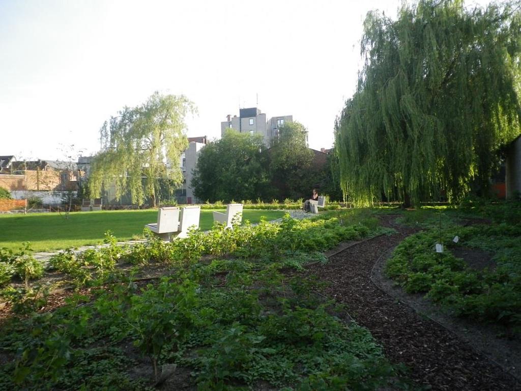 buurtparken (realisatie groenstructuurplan) Zowel open groen