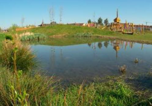 waterbeleid groenvoorzieningen verminderen