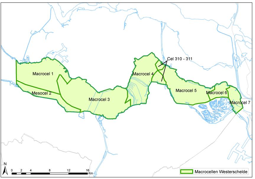 (7) Figuur 2: Westerschelde en onderverdeling in 6 macrocellen, mesocel 2 en