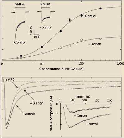 Werkingsmechanisme GEEN toename activiteit inhibitorische GABAreceptoren Antagonisme NMDAreceptor Leerprocessen, geheugenfunctie, pijnperceptie N 2 O, ketamine