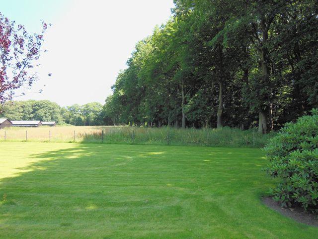 grassen, en rechts kort grasland. Foto 8.