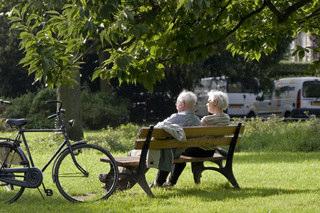 personen) Nederlandse bevolking - leeftijdsaandelen 18. 1% 16. 14.