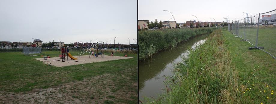 Aan de zuid- en oostzijde van het perceel is een watergang gelegen met een relatief goed ontwikkelde oevervegetatie (Figuur 5.8 rechts).