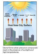 Het stedelijk hitte-eiland effect (The urban heat