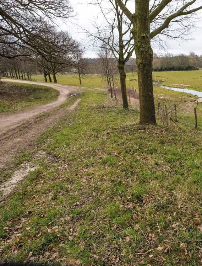 Roy van der Broek, wethouder gemeente Schinnen, over Corio Glana Als hij wandelaars ziet genieten van de beek, is zijn dag geslaagd Het landschap blijft je trouw.