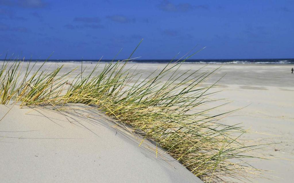 Het is in ieder geval raadzaam tijdig uw gewenste accommodatie te boeken of vrijblijvend in optie te zetten, zodat u zeker bent van beschikbaarheid!