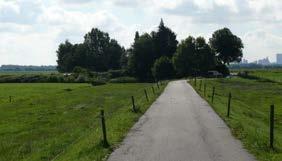 De sloten en oevers in het gebied zijn een leefgebied voor onder meer vissen (stekelbaars, modderkruiper en kroeskarper), amfibieën (kleine watersalamander, gewone pad, middelste groene kikker,