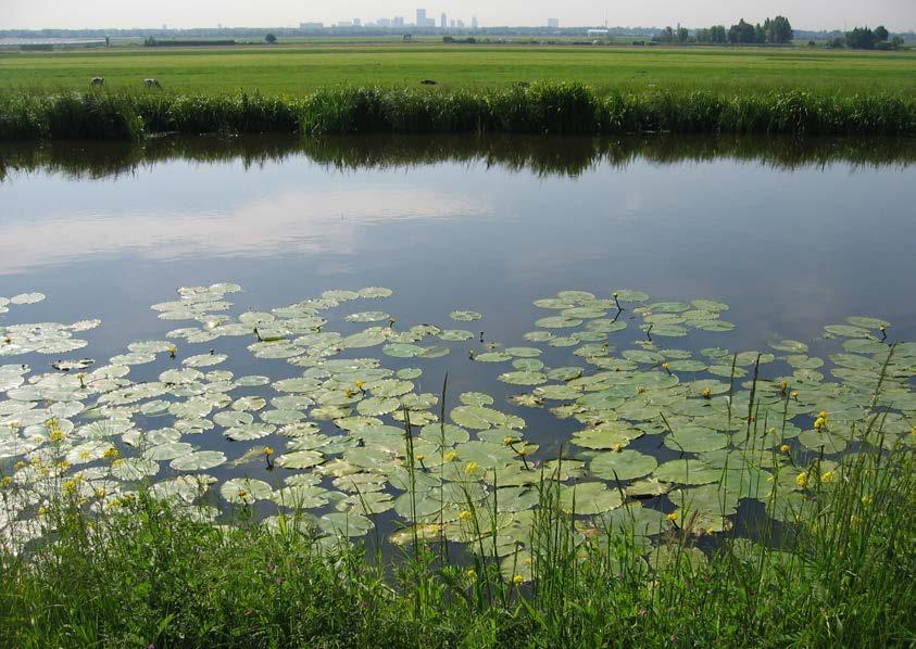 1. Het gebied Polder Schieveen in samenhang met de omgeving De ontwikkeling van polder Schieveen staat niet op zichzelf.
