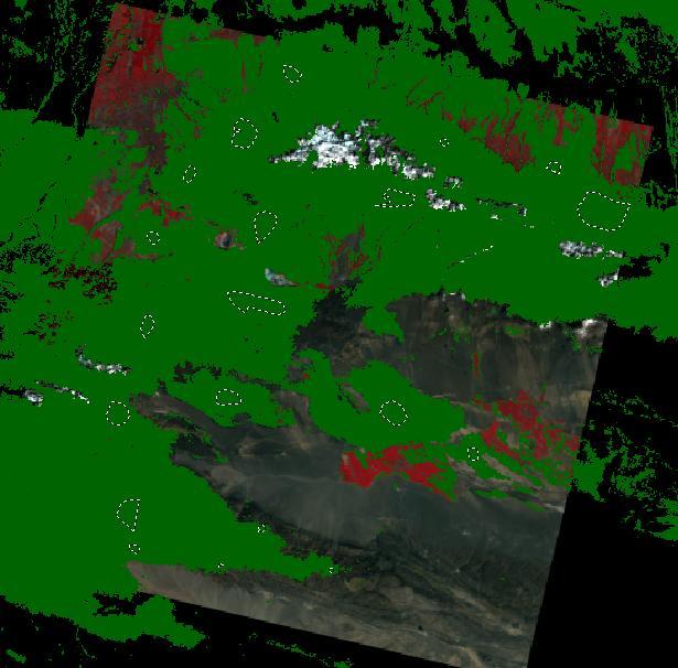 Figuur 13: aanduiding AOI s (stippellijn) klasse grasland (groen) bij verschillende illuminatie en terrein (Bron: Eigen Bewerking) Deze AOI s werden opgeslagen en de bijbehorende DN s per pixel per