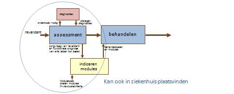 Assessment niet altijd als eerste activiteit Ziekenhuisarts Een revalidant met een zorgvraag start in principe bij de revalidatiearts met een assessment.