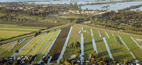 Wandelroutes leiden over talloze bruggen, langs statige lanen, windkerende houtakkers en kleurrijke kwekerijen.