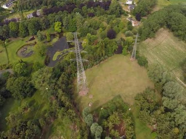 Mast EV215 55 is ten zuiden omgeven door een bomenrand (Illustratie 12-37). Ongeveer 0,1 ha waardevolle vegetatie valt binnen de voorziene werfzone.