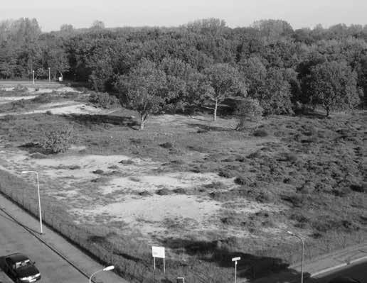 FOTO: JAN HOFKER tegenover de garage een nieuw plantsoen aangelegd. Zo kwam Tine in deze wijk wonen.