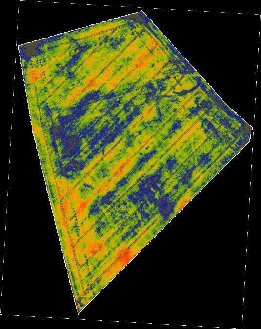 Veel detail, concrete informatie Drogestof (t/ha) Hoge zone Spuitsporen Lage zone