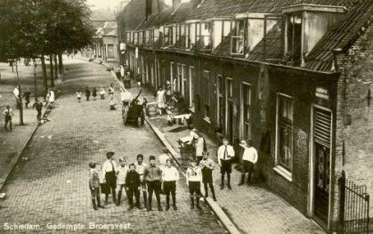 de Huismus als typische stadsvogel.