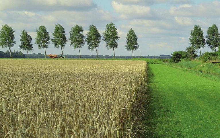 Opbrengsten van het project Boerderijeducatie Amsterdam 10 Kennisdoelen op gebied van EE LM BS Waardering boerderij Zorg voor dieren Waardering fysiek werk Waardering natuur Bewegen Relatie tussen