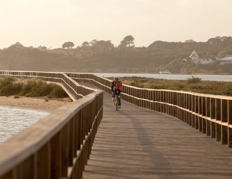 Fietsen In de Algarve kan op diverse plaatsen gemakkelijk worden gefietst. Wel zijn veel paden onverhard, waar terdege rekening mee gehouden moet worden.