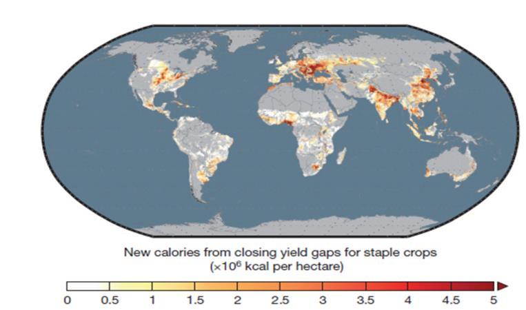 Voldoende voedsel is mogelijk 12 miljard mensen - Productiekloof 16 belangrijkste gewassen dichten: 4-5 miljard mensen?