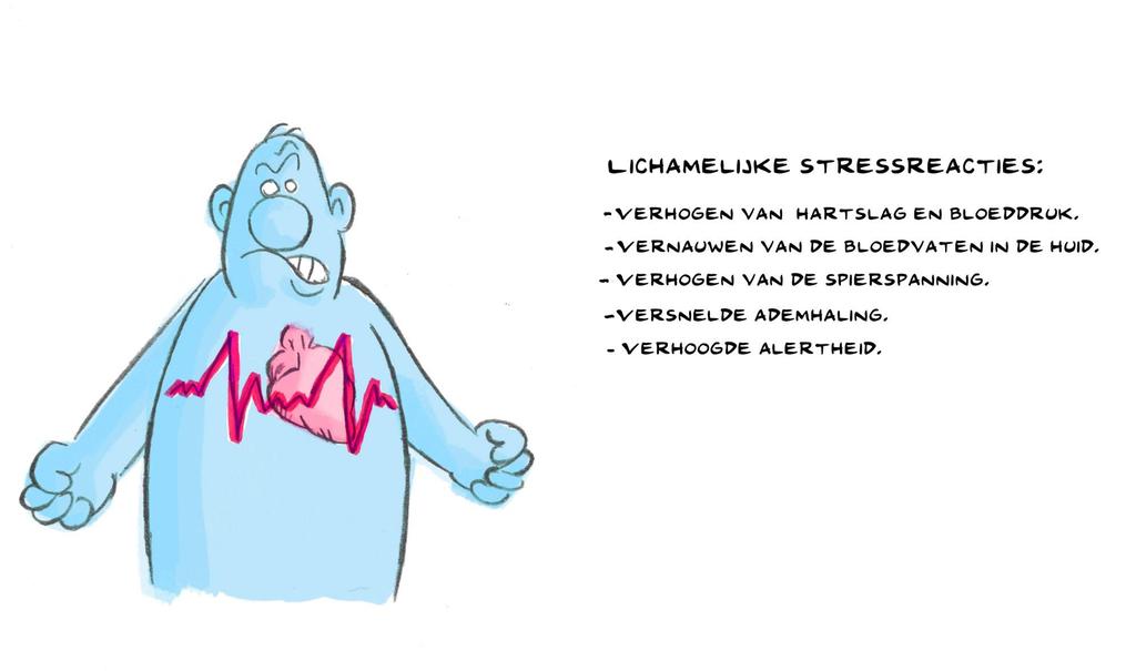 De fysiologische stressrespons