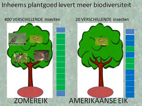 Stadsecologie 2 Verbinden van natuurgebieden om en door de stad: Vroege Vogelbos-Floriade-Boswachterij Natuurvriendelijke oevers Weerwater (uitwerking Kaderrichtlijn Water)