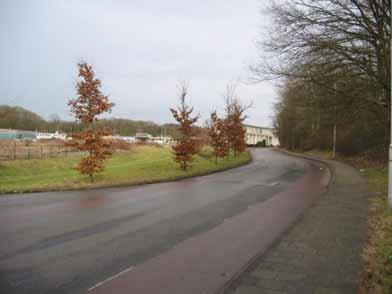 zicht onttrokken worden en zelfs in de wintermaanden minder zichtbaar zijn, omdat de beuken en deels ook de eiken hun (bruine) blad in de winter vasthouden.