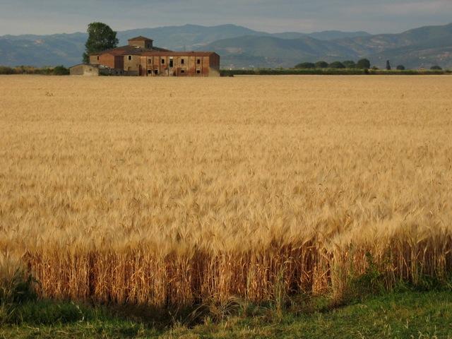 Zin in Toscane Onderweg Wil je tijd vrij maken om op afstand te kijken naar dat wat voor jou belangrijk is? Wil je in een rijke omgeving stilstaan bij vergeten levensvragen?