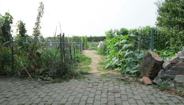 De deellocatie betreft de achtertuinen van beide woningen. De tuin van Kerkplein 8 is in gebruik als siertuin met een gazon.