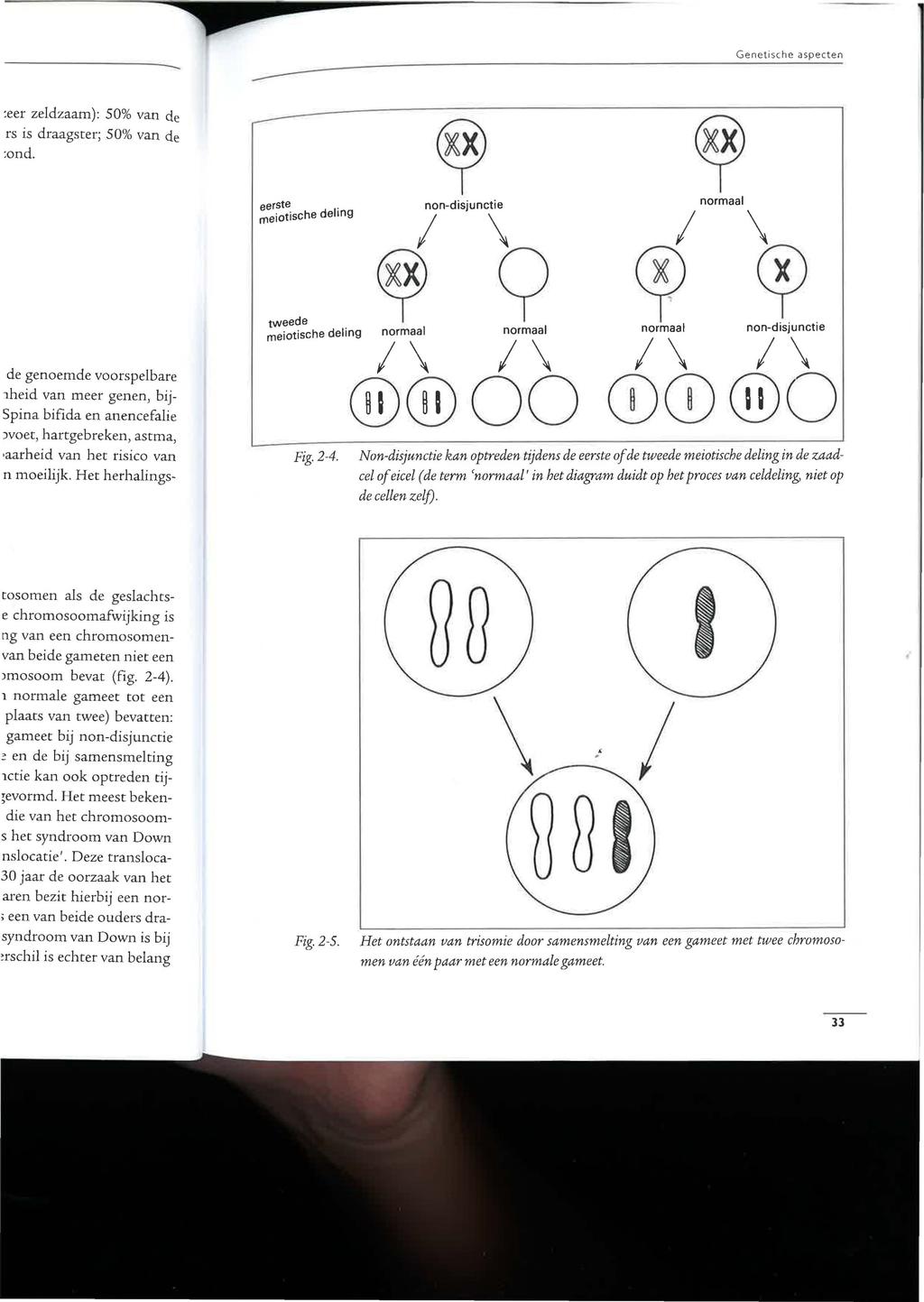 Genetisc he aspecten eerste. rneiotische deling Fig. 2-4.