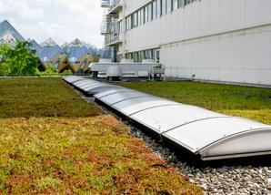 Extensieve groendaken zijn laag in aanleg- en onderhoudskosten én verhogen de levensduur van de dakbedekking.