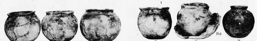 Typologie van de in Godlinze voorkomende Hessens-Schortens urnen 1919/8 Type Datering 10 M? 11 M? 12 M? 13 G?