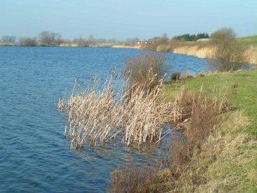 Grond- Weg- en Waterbouw: Kwaliteit oppervlaktewater Kennisvelden binnen de