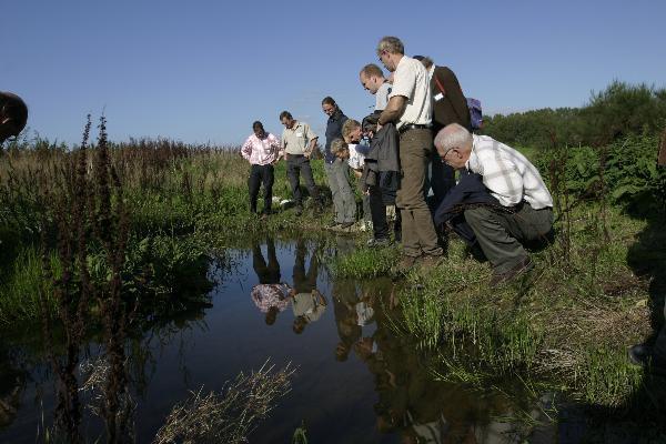 Stichting RAVON de landhabitat en daarmee levensvatbare populaties te krijgen. In 2007 is er een vierdaagse workshop georganiseerd die door Wilbert Bosman en Jöran Janse is bezocht.