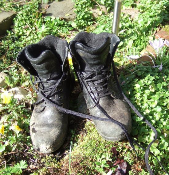 oo uur bij geschikt weer Vrijdag 14 april Nachtvlinders In de avonduren aan de Walbeckerweg Aanmelden bij Jan - 077472.