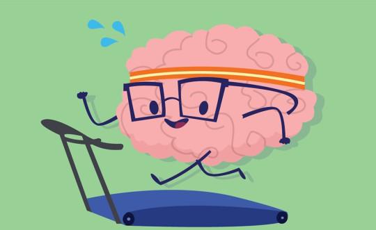 HARDLOPEN PRIKKELT HIPPOCAMPUS Hoe ouder, hoe kleiner je brein. Toch? Hoe zorgt aerobe inspanning er dan toch voor dat je geestelijk scherp blijft?