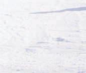 snowboarden volpension 5507/SNG - - - 520 sneeuwgewenning volpension p. 23 5507/PO GRATIS (2 tot 4 j.