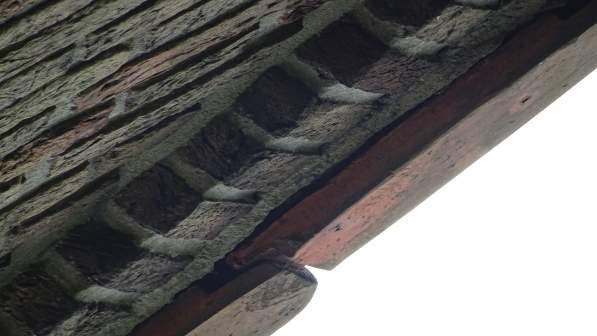 Afbeelding 5: Ruimten onder de dakpannen als toegang voor vleermuizen 5.3.2.