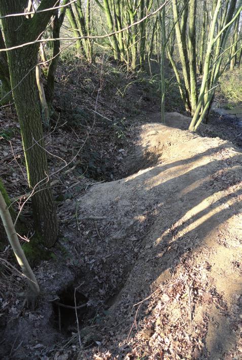 18 3.1.2.3 Burchten en holen De das gebruikt een burcht als veilige rustplaats en als plek om zich voort te planten.